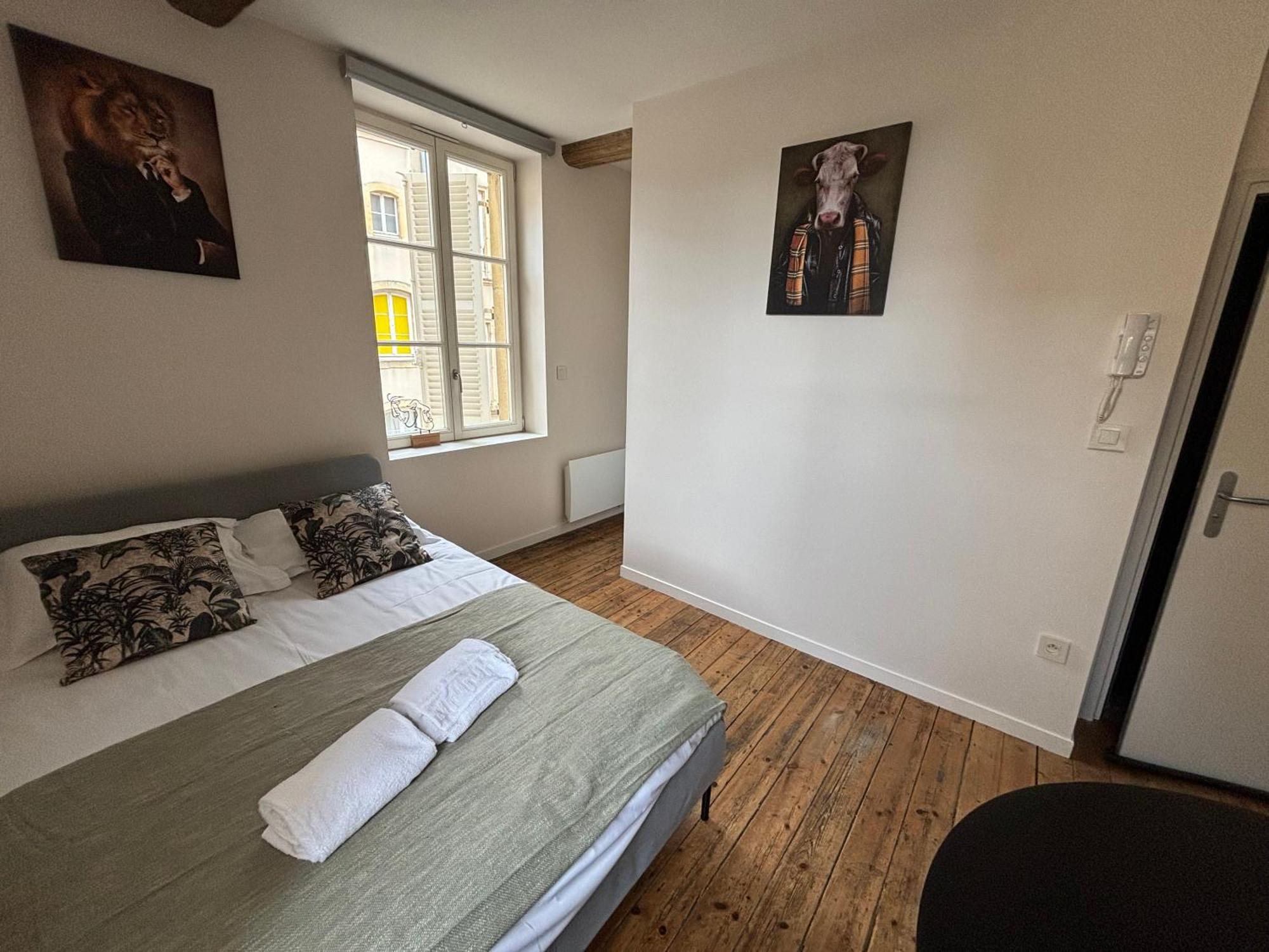 Apartmán Louis Premier Et Second Metz Centre Un Sejour A Part Exteriér fotografie