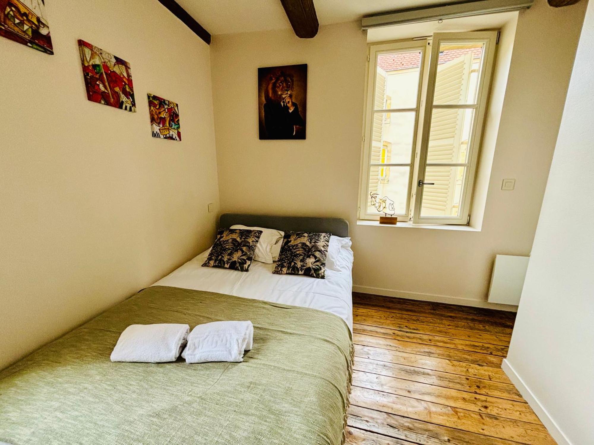 Apartmán Louis Premier Et Second Metz Centre Un Sejour A Part Exteriér fotografie